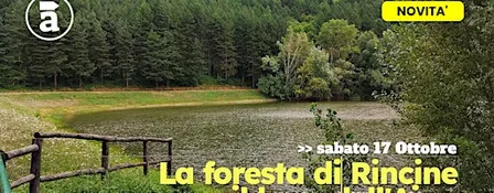 La foresta di Rincine e il Lago dell'Aina