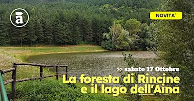 La foresta di Rincine e il Lago dell'Aina