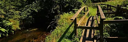 Keale River Valley Walk