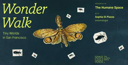 Wonder Walk:  Tiny Worlds in San Francisco