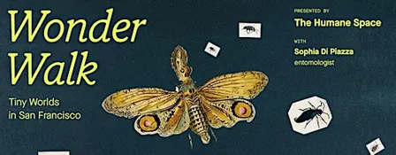 Wonder Walk: Tiny Worlds in San Francisco
