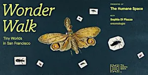 Wonder Walk: Tiny Worlds in San Francisco