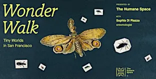 Wonder Walk:  Tiny Worlds in San Francisco