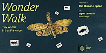 Wonder Walk:  Tiny Worlds in San Francisco