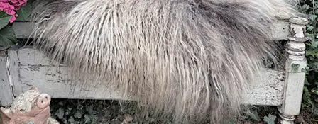 Icelandic felted fleece rug workshop with Trish O'Meara