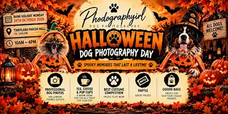 Phodographyirl Halloween Dog Photography Day