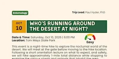 Who’s Running Around the Desert at Night?
