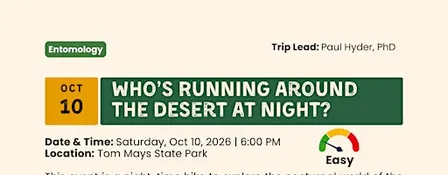 Who’s Running Around the Desert at Night?