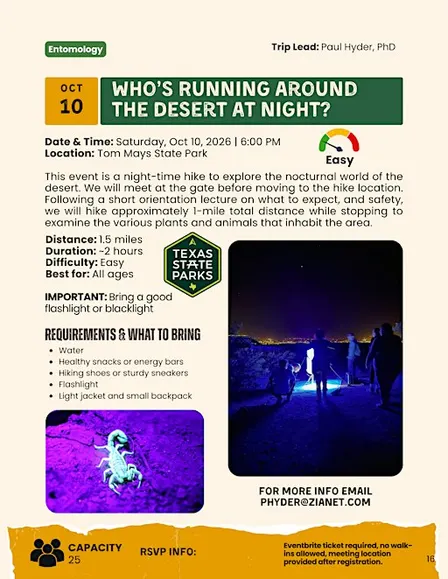 Who’s Running Around the Desert at Night?