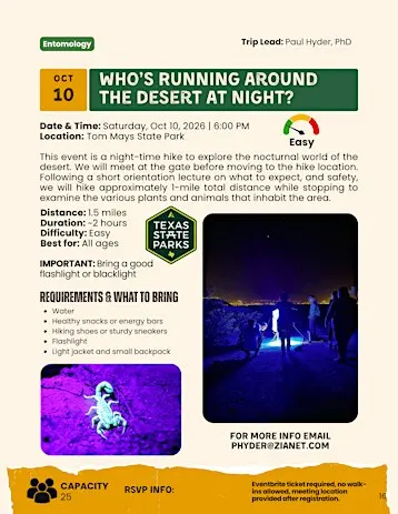 Who’s Running Around the Desert at Night?