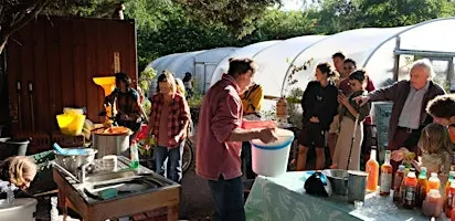 Apple Day at the Tree Nursery