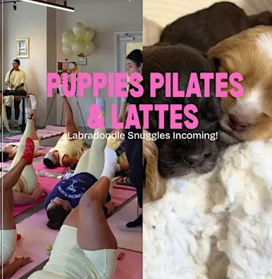 Puppies, Pilates & Lattes!