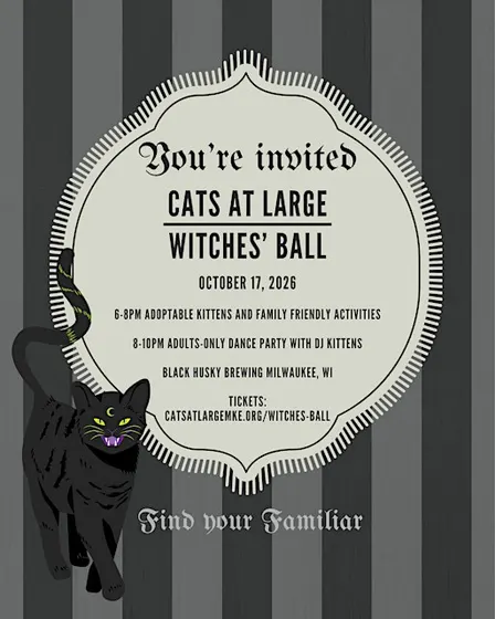 Cats At Large Witches' Ball