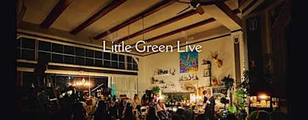 Ren Geisick at Little Green Live 9/18/26