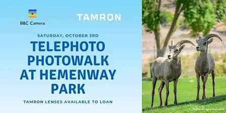 Tamron Presents: Telephoto Photowalk at Hemenway Park