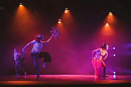 Feather & Flesh: Contemporary Aboriginal dance & workshop (ALIA program)