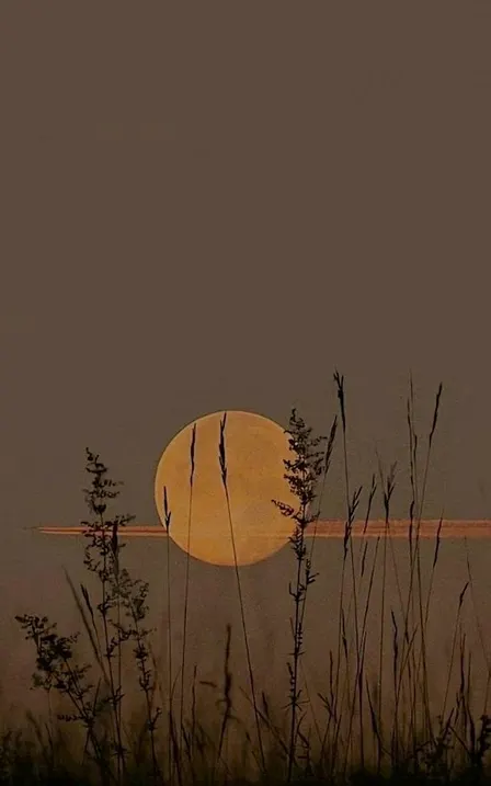 Earth Sounds x PRML Harvest Full Moon Sound Healing
