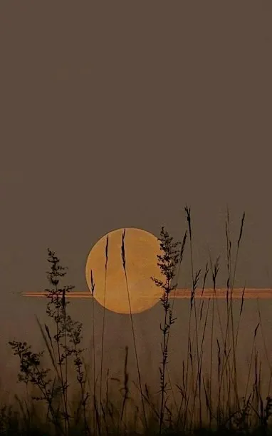 Earth Sounds x PRML Harvest Full Moon Sound Healing