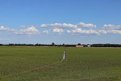 Una giornata tra acque, risaie e antiche abbazie