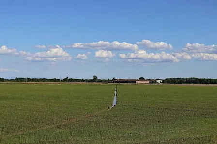 Una giornata tra acque, risaie e antiche abbazie