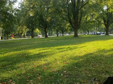 Buffalo October Fine Art & Artisan Market 2026