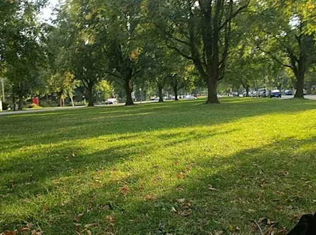 Buffalo October Fine Art & Artisan Market 2026