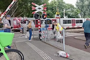 Cleanup: Groene longen en veenweiden van Ommoord
