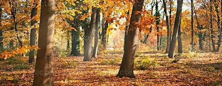 An Evening of Autumnal Folklore