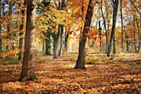 An Evening of Autumnal Folklore - extra date added