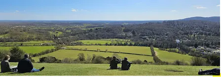 Box Hill Circular Hike