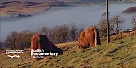 Charles Jeffrey LOVERBOY x Scottish Documentary Institute