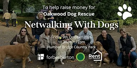 Netwalking With Dogs - Free Networking Event in Hull