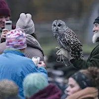Autumn & Owls Campfire