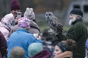 Autumn & Owls Campfire