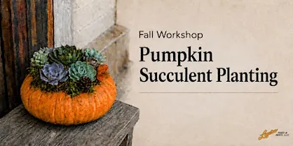 Pumpkin Succulent Centerpiece