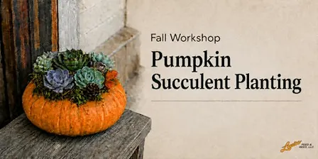 Pumpkin Succulent Centerpiece