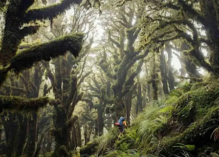 Let's Talk About | 3.000 Kilometer auf dem Te Araroa Trail