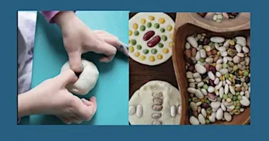 Clay pot and seed activity