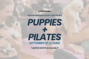 Puppies & Pilates at 144 Athletics