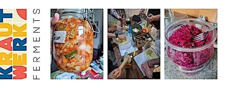 Autumn Kimchi & Kraut (South)