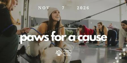Paws For a Cause: Yoga at The Humane Society