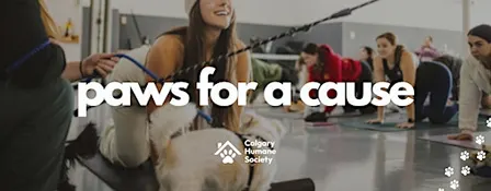 Paws For a Cause: Yoga at The Humane Society