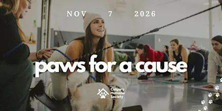Paws For a Cause: Yoga at The Humane Society