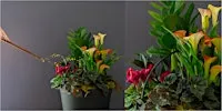 Create Your Own Spooky Cauldron Planter at Mahoney's Chelmsford
