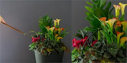 Create Your Own Spooky Cauldron Planter at Mahoney's Chelmsford