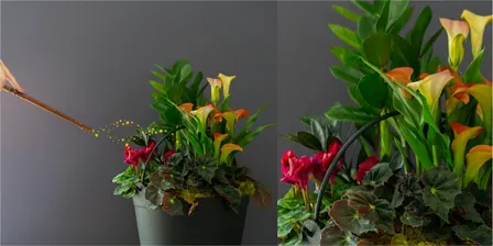 Create Your Own Spooky Cauldron Planter at Mahoney's Chelmsford
