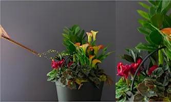Create Your Own Spooky Cauldron Planter at Mahoney's Chelmsford