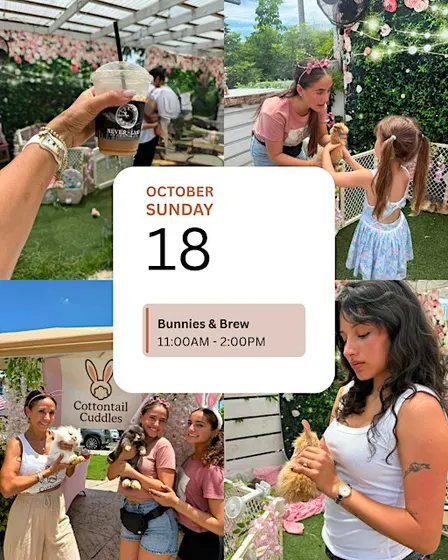 Bunnies & Brew
