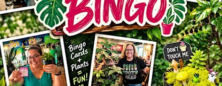 Plant Bingo