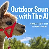✨ Soundbath with the Alpacas